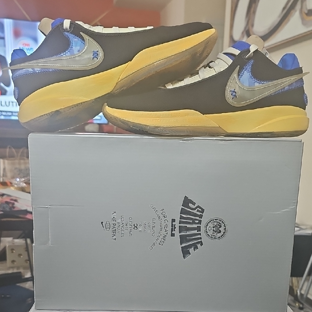 Nike Lebron XX Uniterrupted